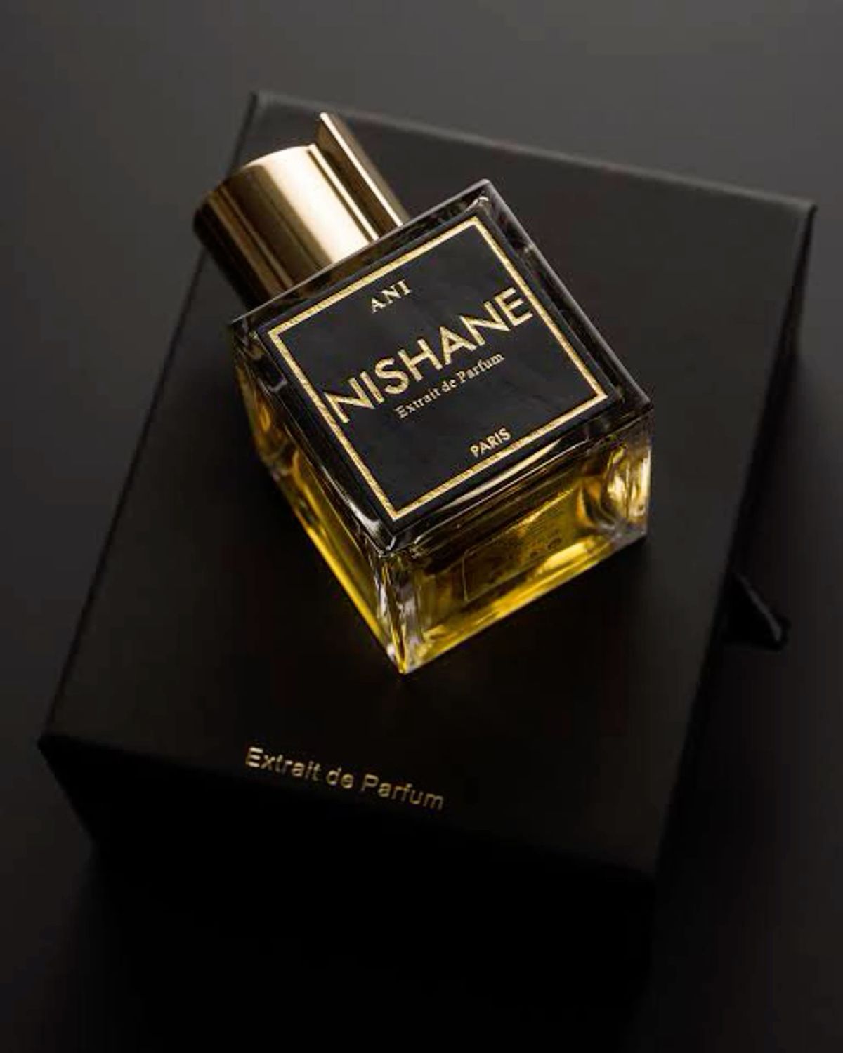 NISHANE Ani Extrait de Parfum – For Unisex - 100ml